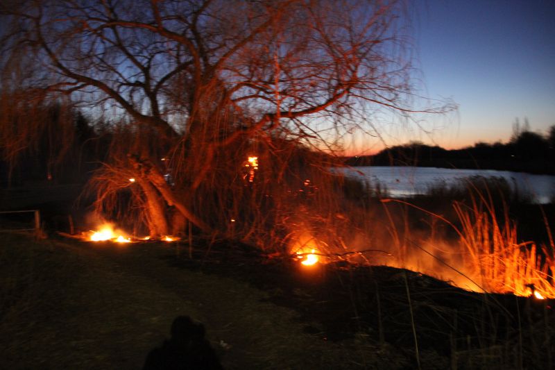 Пожар в Красноармейске. Фото: Вчасно UA