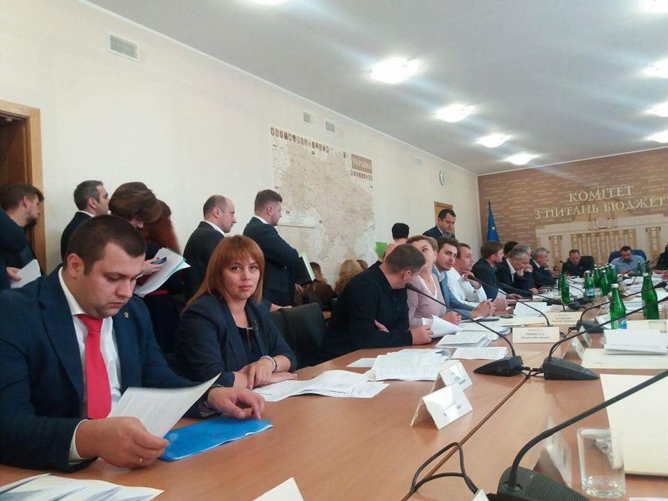 Наталья Веселова на заседании бюджетного комитета ВР / Фото: соцсети